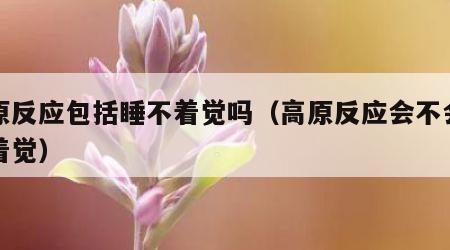 高原反应包括睡不着觉吗（高原反应会不会睡不着觉）