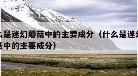 什么是迷幻蘑菇中的主要成分（什么是迷幻蘑蘑菇中的主要成分）
