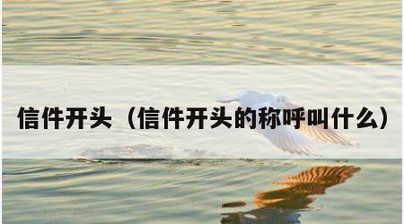 信件开头（信件开头的称呼叫什么）