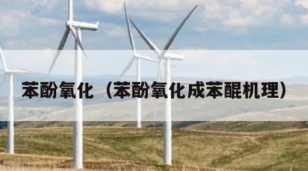 苯酚氧化（苯酚氧化成苯醌机理）