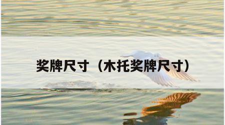奖牌尺寸（木托奖牌尺寸）