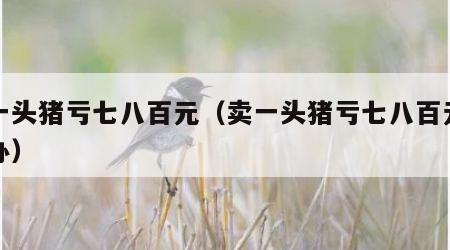 卖一头猪亏七八百元（卖一头猪亏七八百元怎么办）
