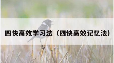 四快高效学习法（四快高效记忆法）