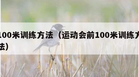 100米训练方法（运动会前100米训练方法）