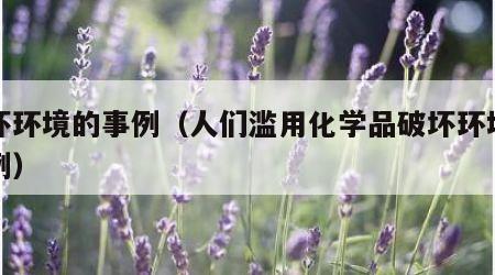 破坏环境的事例（人们滥用化学品破坏环境的事例）