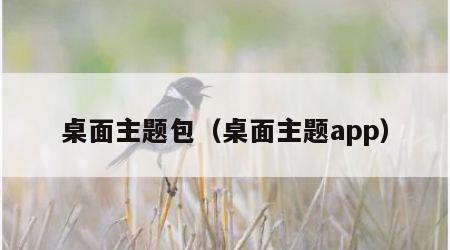 桌面主题包（桌面主题app）