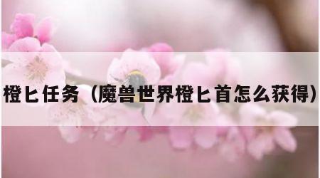 橙匕任务（魔兽世界橙匕首怎么获得）