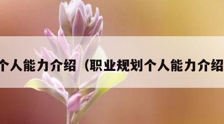 个人能力介绍（职业规划个人能力介绍）