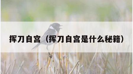 挥刀自宫（挥刀自宫是什么秘籍）