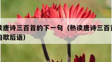 熟读唐诗三百首的下一句（熟读唐诗三百首下一句歇后语）