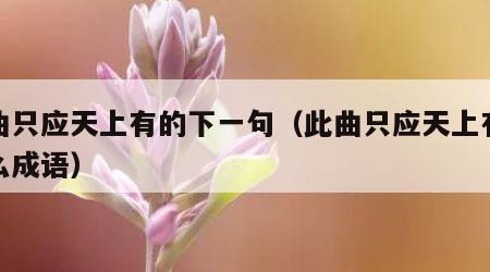 此曲只应天上有的下一句（此曲只应天上有是什么成语）