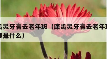 康齿灵牙膏去老年斑（康齿灵牙膏去老年斑的原理是什么）