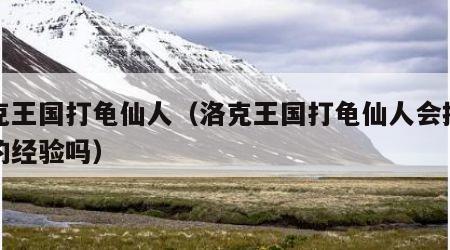 洛克王国打龟仙人（洛克王国打龟仙人会掉每天的经验吗）