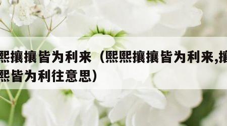 熙熙攘攘皆为利来（熙熙攘攘皆为利来,攘攘熙熙皆为利往意思）