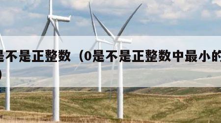 0是不是正整数（0是不是正整数中最小的偶数）