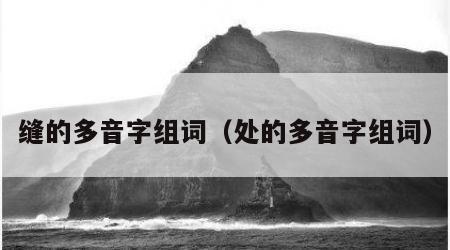 缝的多音字组词（处的多音字组词）