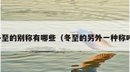 冬至的别称有哪些（冬至的另外一种称呼）
