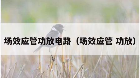 场效应管功放电路（场效应管 功放）
