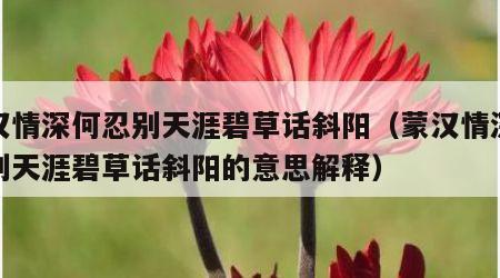 蒙汉情深何忍别天涯碧草话斜阳（蒙汉情深何忍别天涯碧草话斜阳的意思解释）