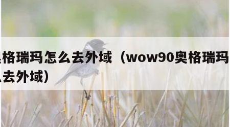 奥格瑞玛怎么去外域（wow90奥格瑞玛怎么去外域）