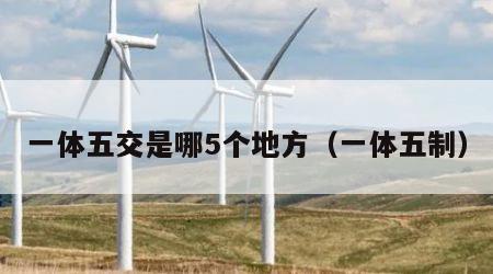 一体五交是哪5个地方（一体五制）