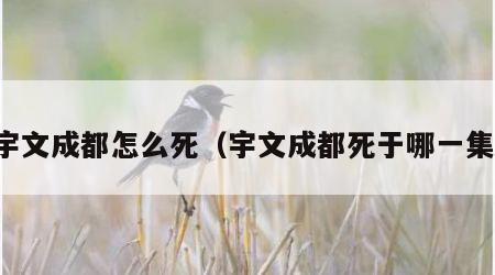 宇文成都怎么死（宇文成都死于哪一集）