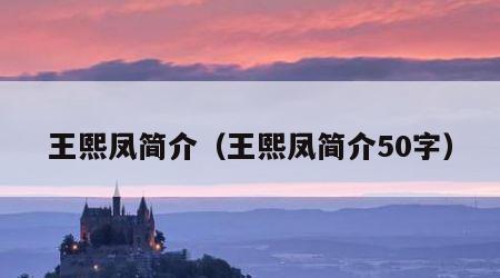 王熙凤简介（王熙凤简介50字）