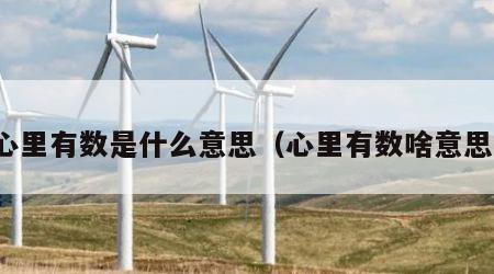 心里有数是什么意思（心里有数啥意思）