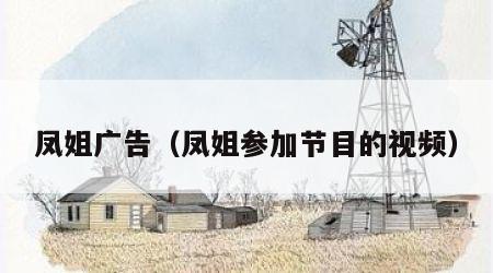 凤姐广告（凤姐参加节目的视频）