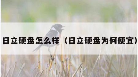 日立硬盘怎么样（日立硬盘为何便宜）
