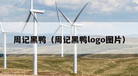 周记黑鸭（周记黑鸭logo图片）