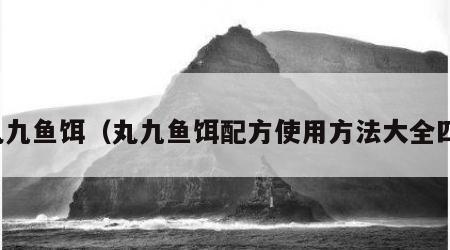 丸九鱼饵（丸九鱼饵配方使用方法大全四）