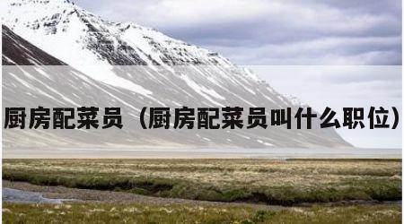 厨房配菜员（厨房配菜员叫什么职位）