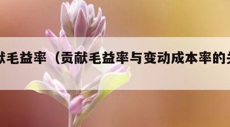 贡献毛益率（贡献毛益率与变动成本率的关系）