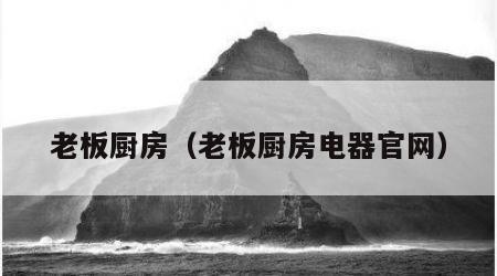 老板厨房（老板厨房电器官网）
