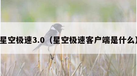 星空极速3.0（星空极速客户端是什么）