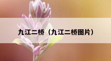九江二桥（九江二桥图片）