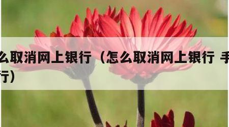 怎么取消网上银行（怎么取消网上银行 手机银行）