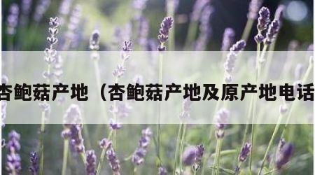 杏鲍菇产地（杏鲍菇产地及原产地电话）