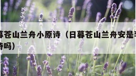 日暮苍山兰舟小原诗（日暮苍山兰舟安是李白的诗吗）