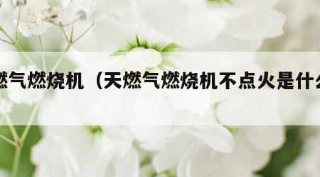 天燃气燃烧机（天燃气燃烧机不点火是什么原因）