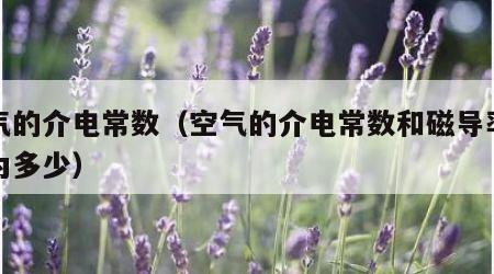 空气的介电常数（空气的介电常数和磁导率常数为多少）