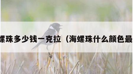 海螺珠多少钱一克拉（海螺珠什么颜色最贵）
