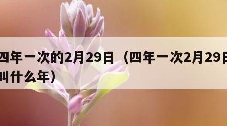 四年一次的2月29日（四年一次2月29日叫什么年）