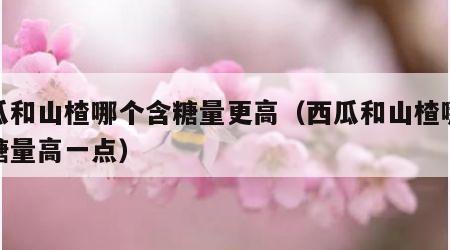 西瓜和山楂哪个含糖量更高（西瓜和山楂哪个含糖量高一点）