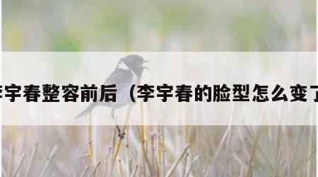 李宇春整容前后（李宇春的脸型怎么变了）