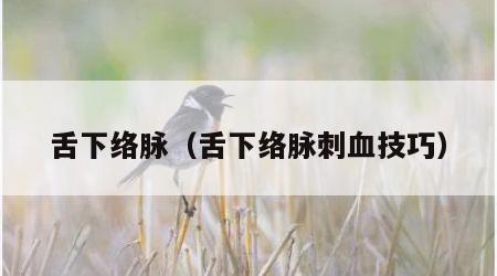 舌下络脉（舌下络脉刺血技巧）