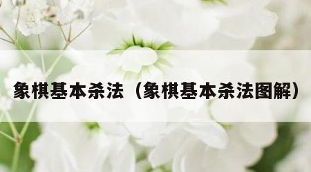 象棋基本杀法（象棋基本杀法图解）