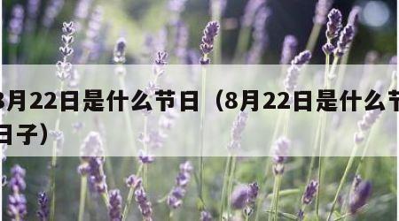8月22日是什么节日（8月22日是什么节日子）
