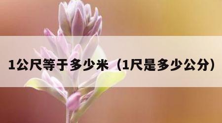 1公尺等于多少米（1尺是多少公分）
